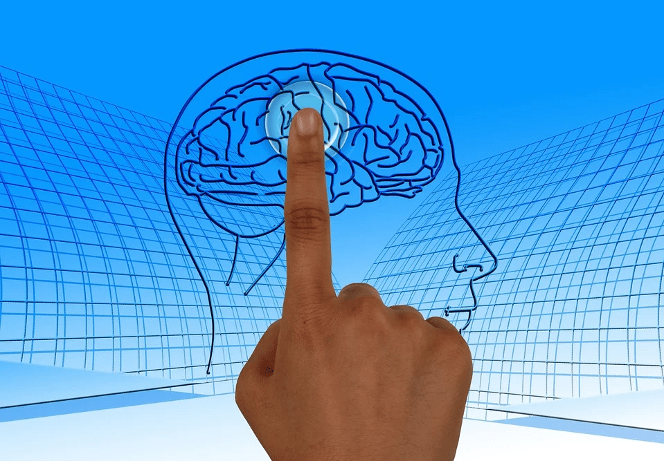 investir-cerveau