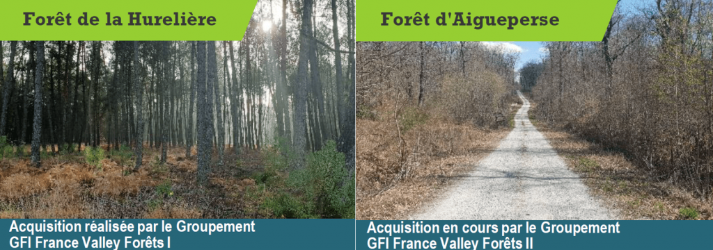 investissement-france-valley