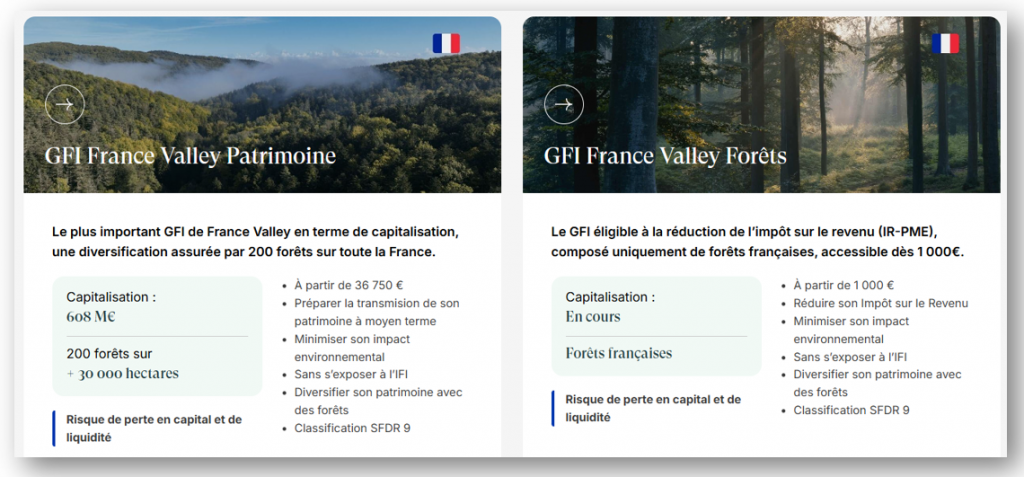 france-valley-gfi-avis
