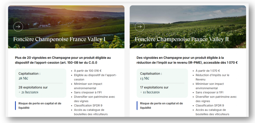 investissement-vignes-france-valley-champagne